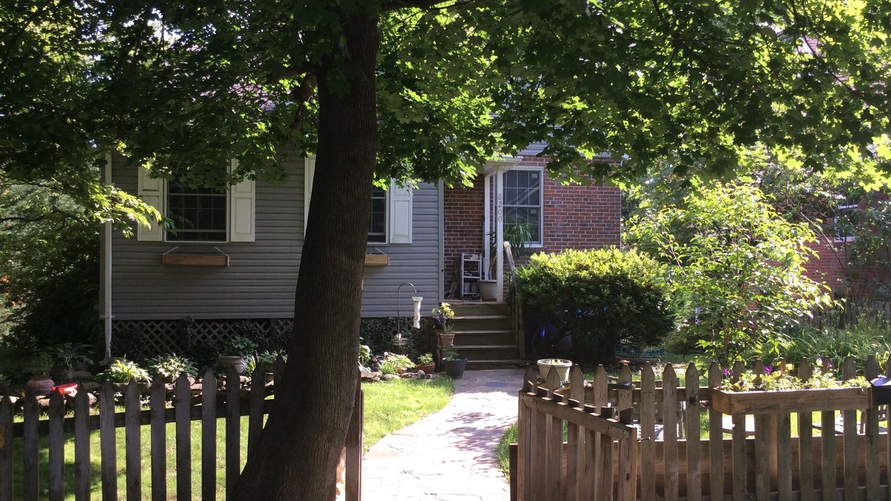 Photo of Outdoor in Silver Spring