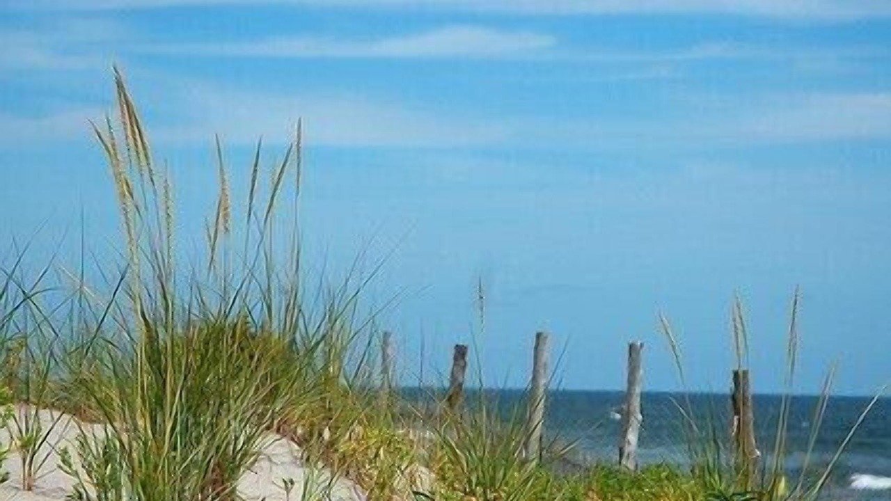 Photo of Others in Beach Haven