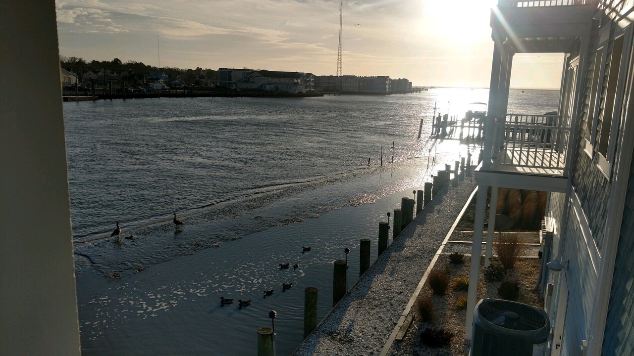 Photo of Outdoor in Chincoteague