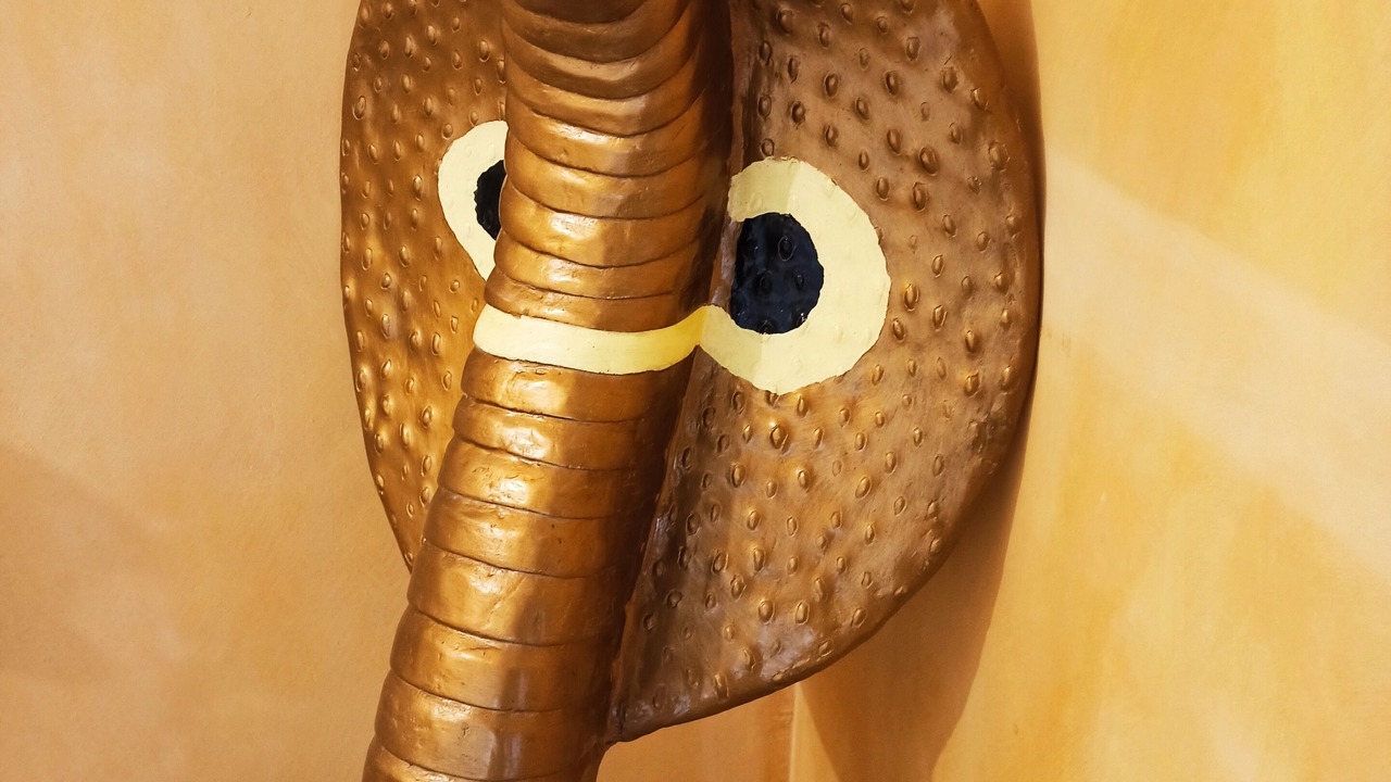 Photo of Others in Floirac