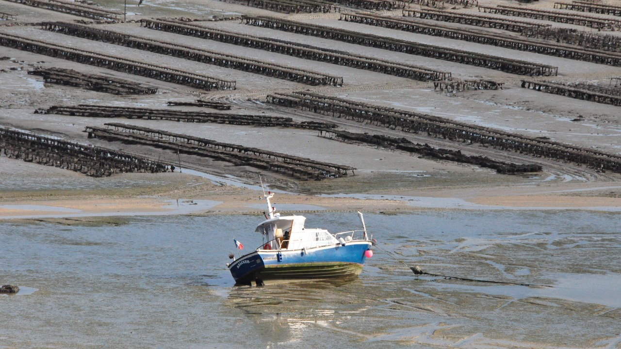 Photo of Others in Cancale