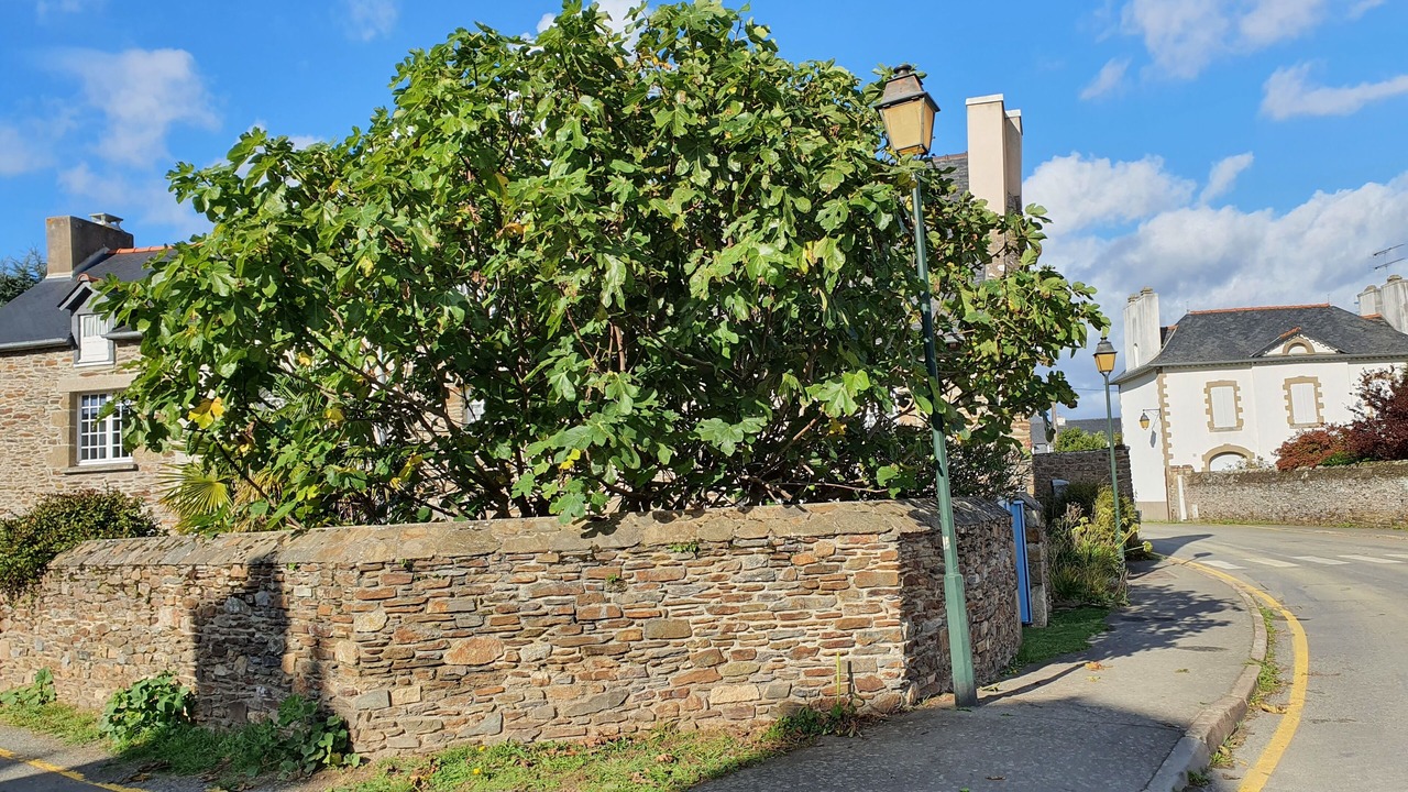Photo of Outdoor in Cancale