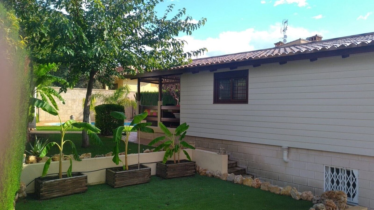 Photo of Outdoor in Chiva