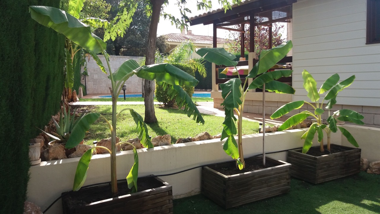 Photo of Outdoor in Chiva