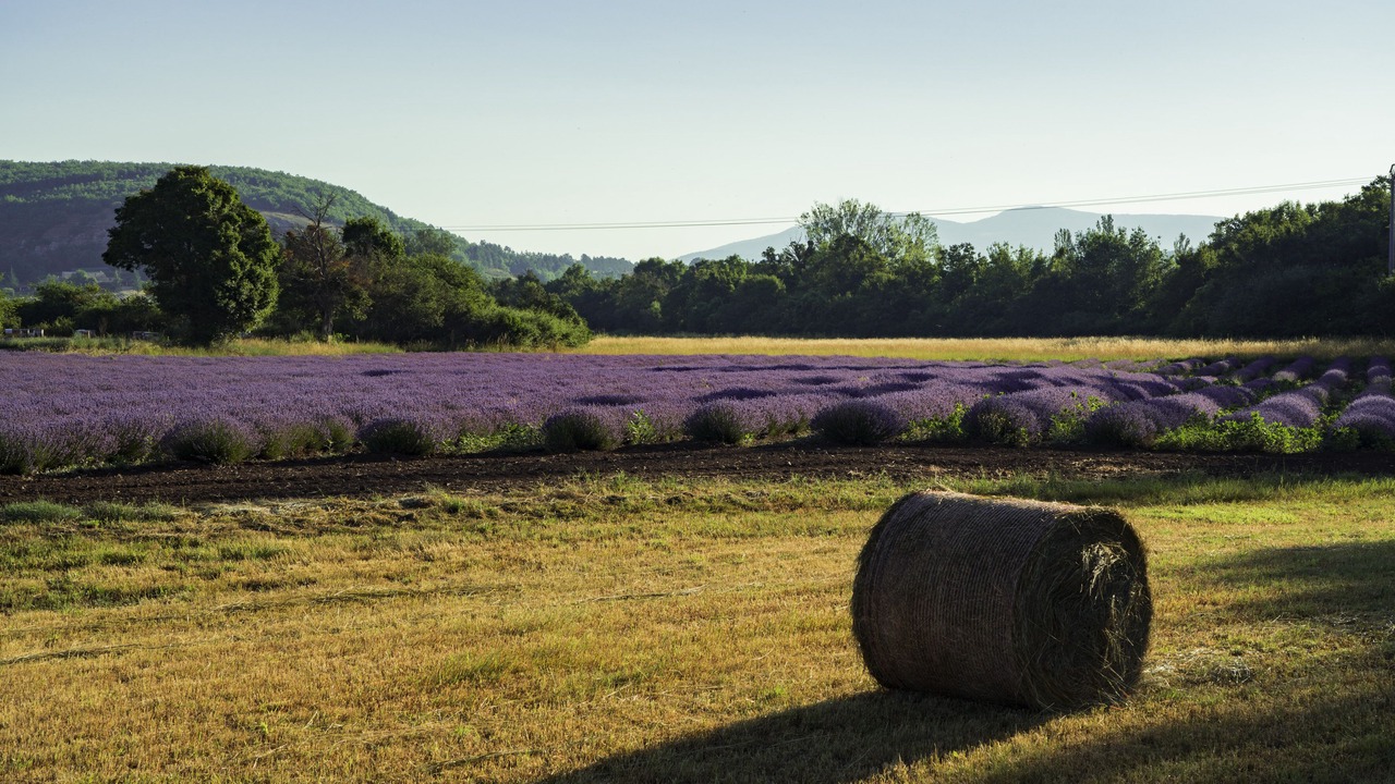 Photo of Outdoor in Sault