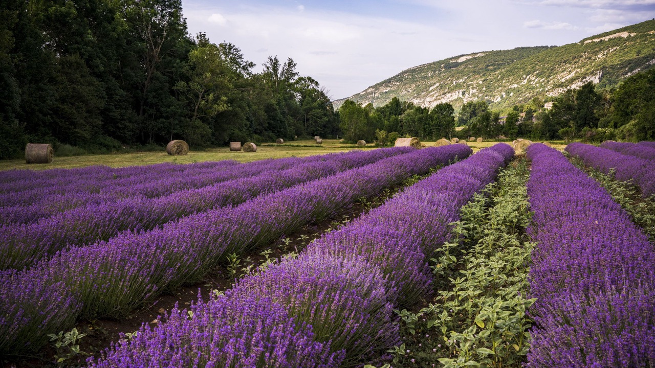 Photo of Outdoor in Sault