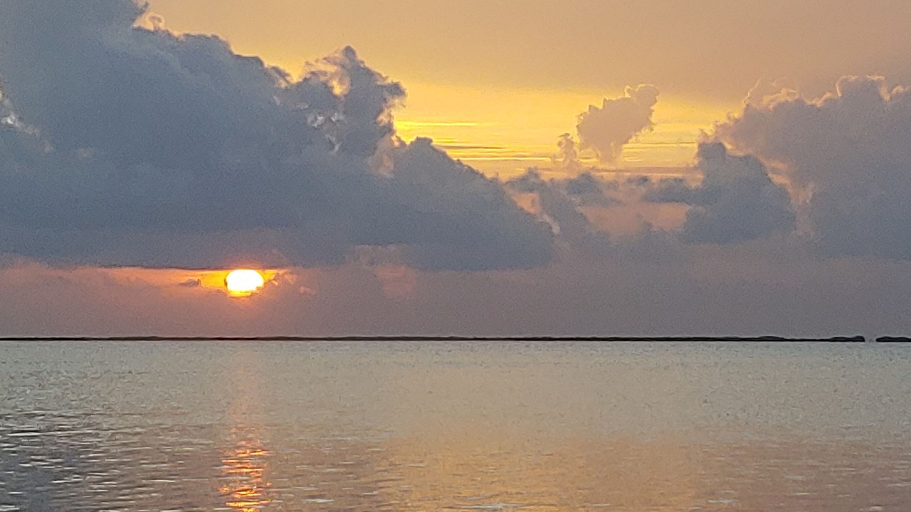 Photo of Others in Sexton Cove Estates