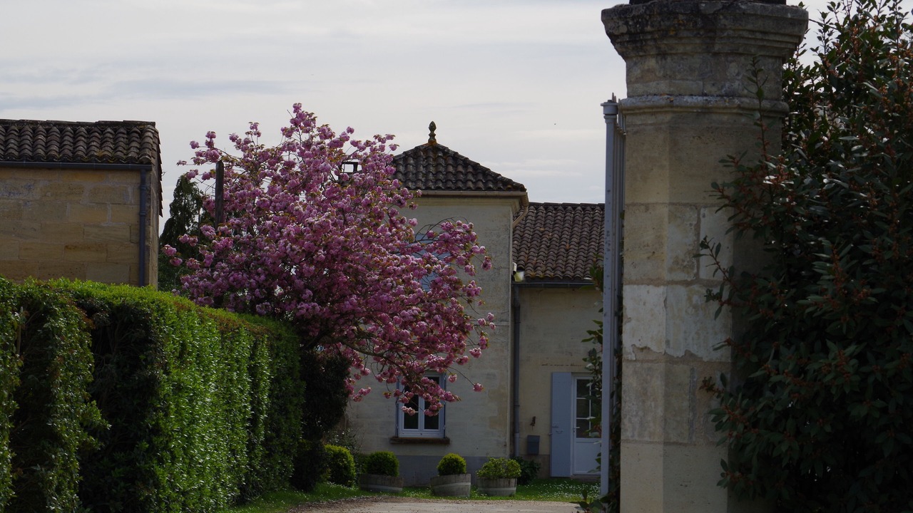 Photo of Outdoor in Neac