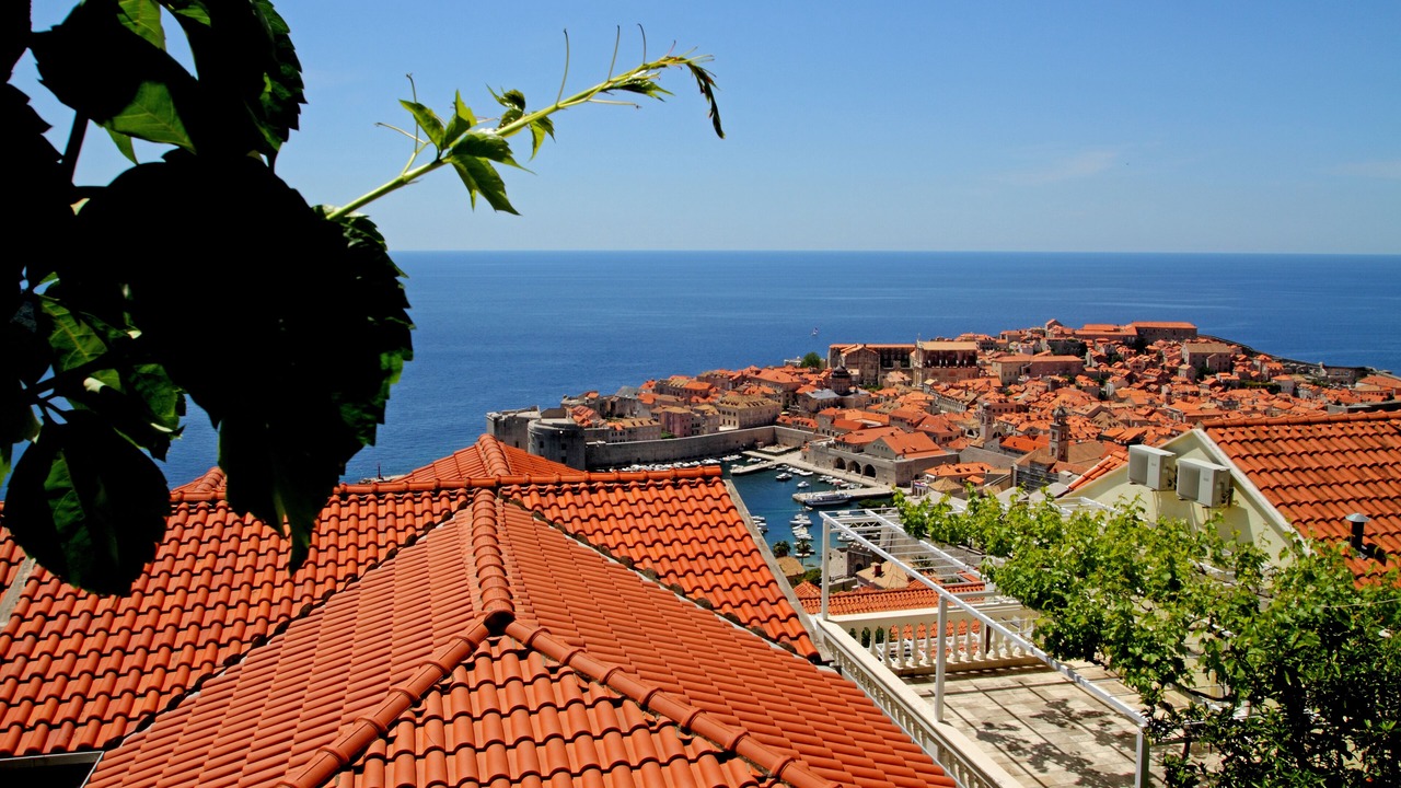 Photo of Others in Ploce