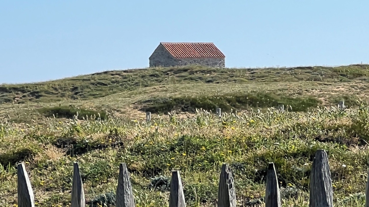 Photo of Others in Olonne-sur-Mer