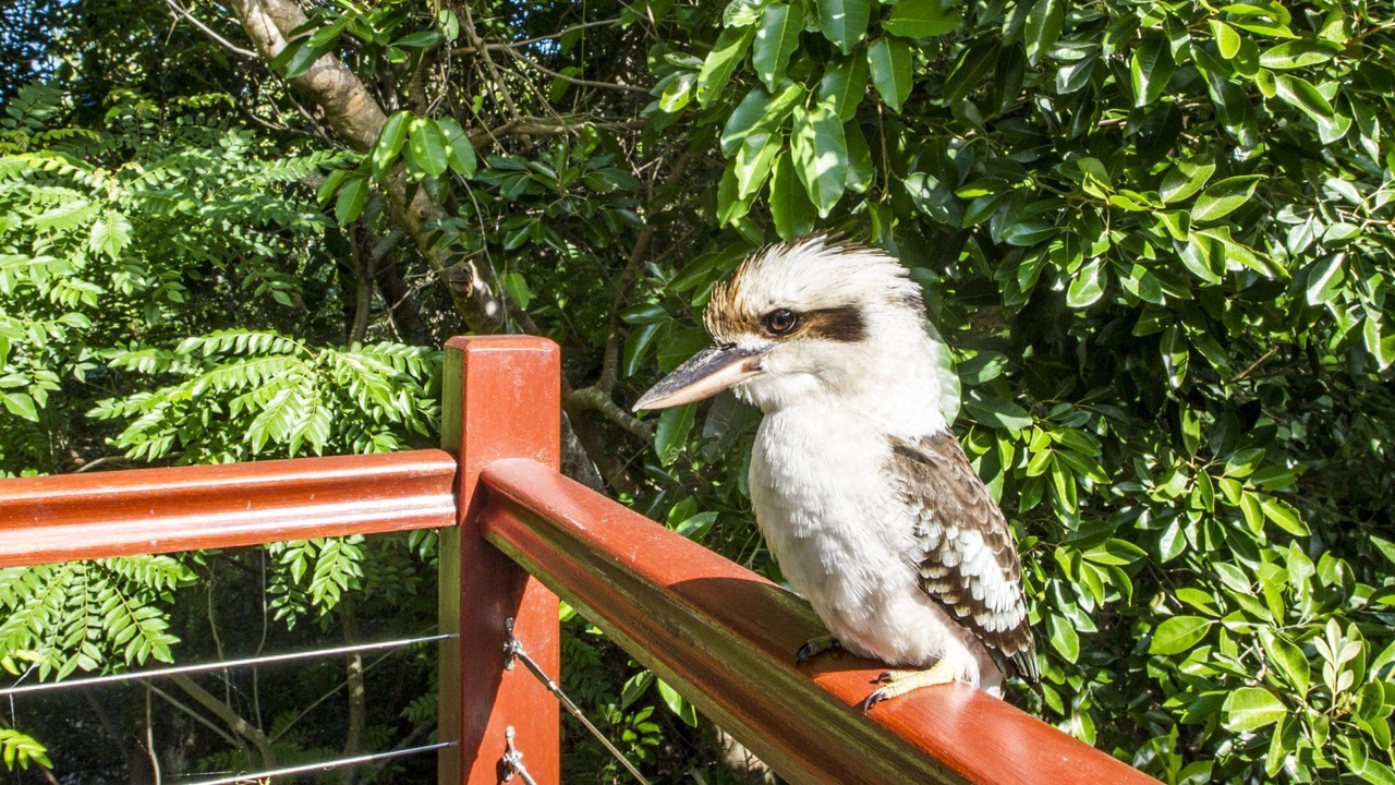 Photo of Outdoor in Arcadia