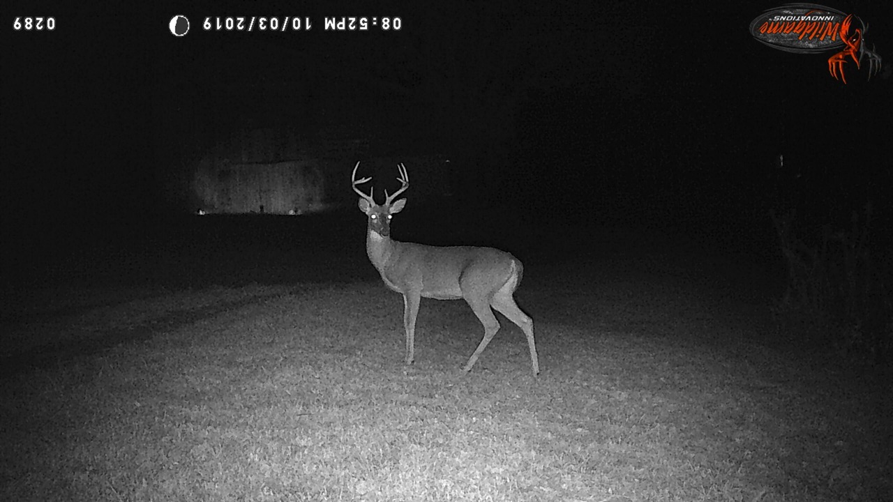 Photo of Others in Macon