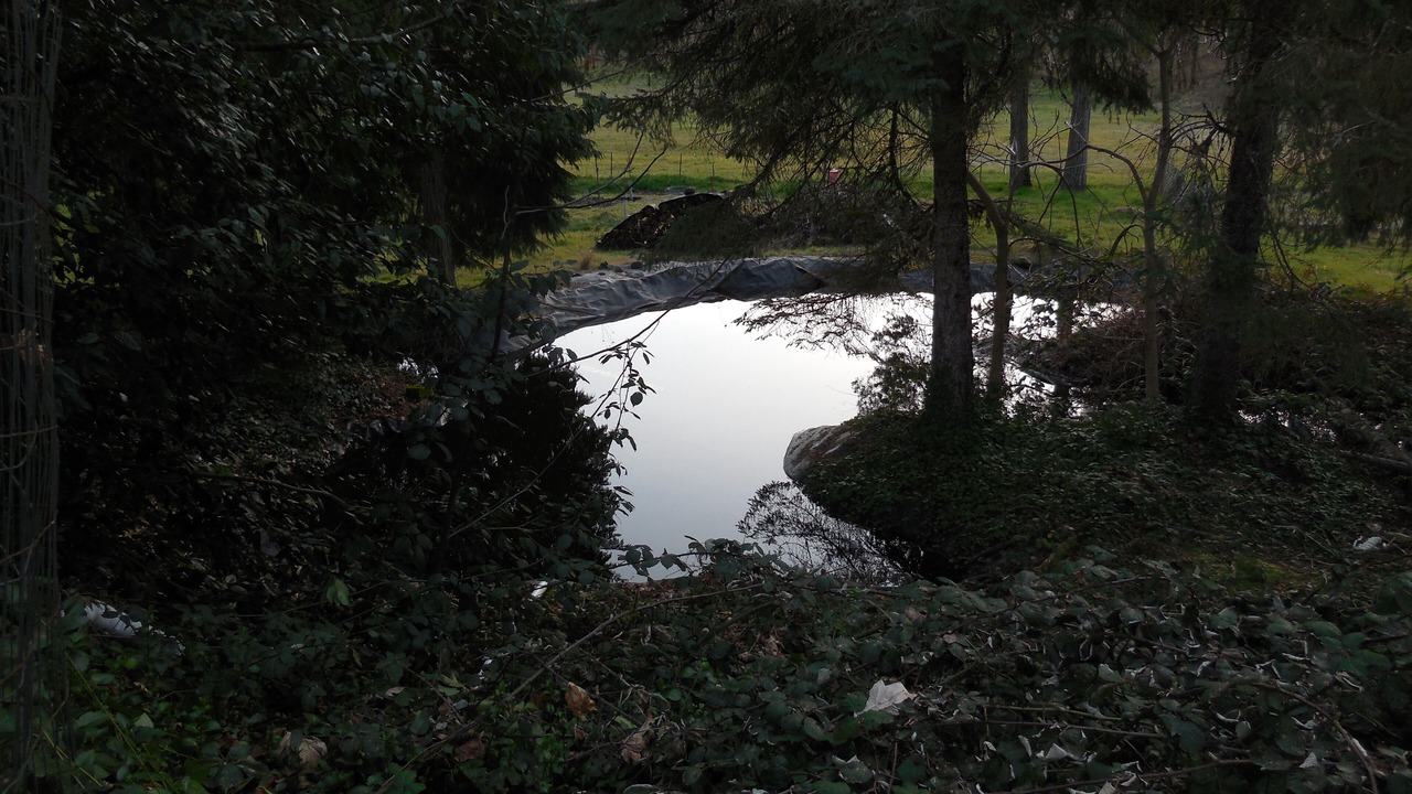 Photo of Outdoor in Oakridge