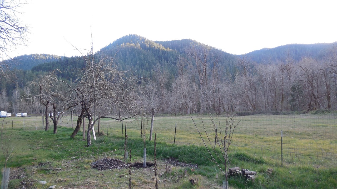 Photo of Outdoor in Oakridge