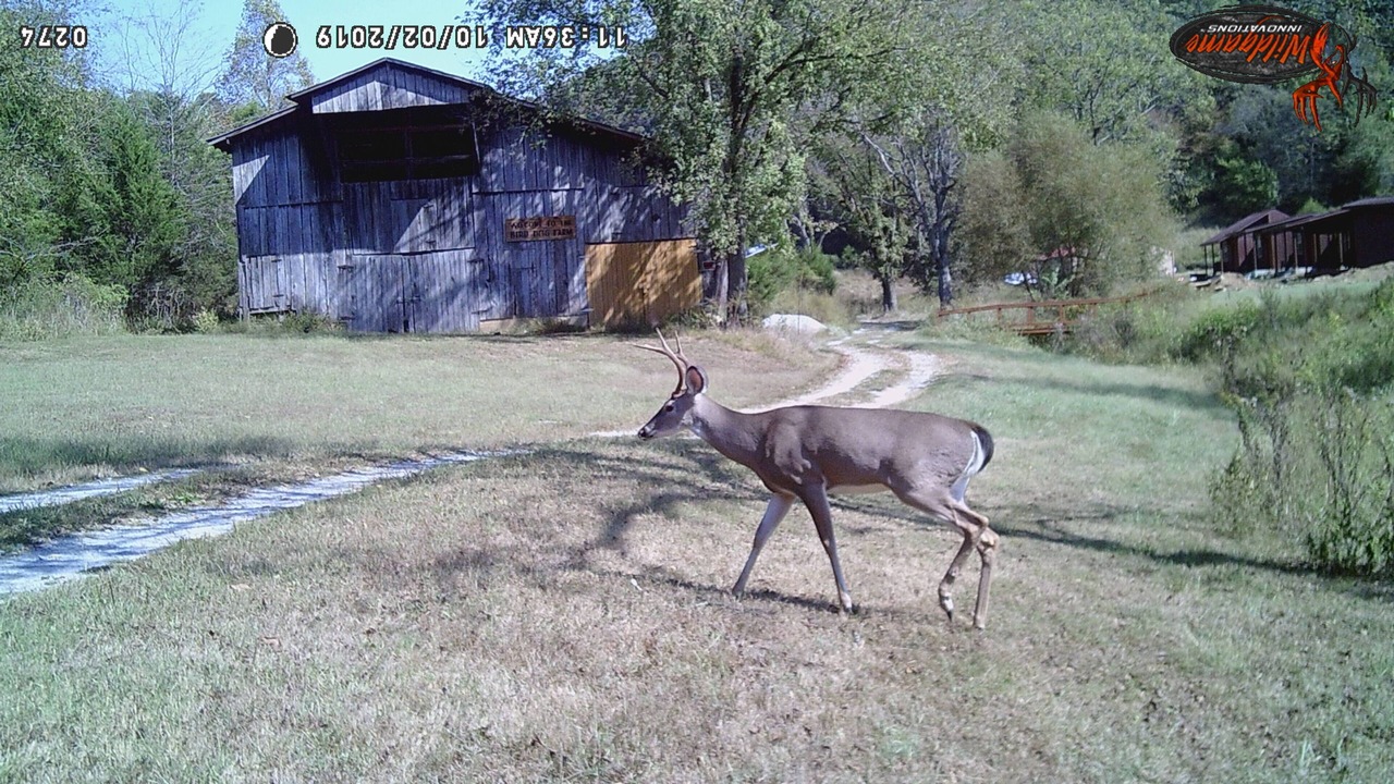 Photo of Outdoor in Macon