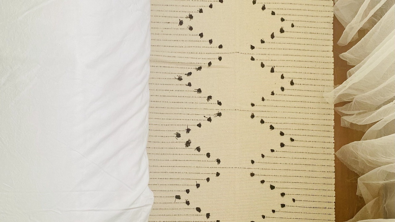 Photo of Bedroom in West Kill