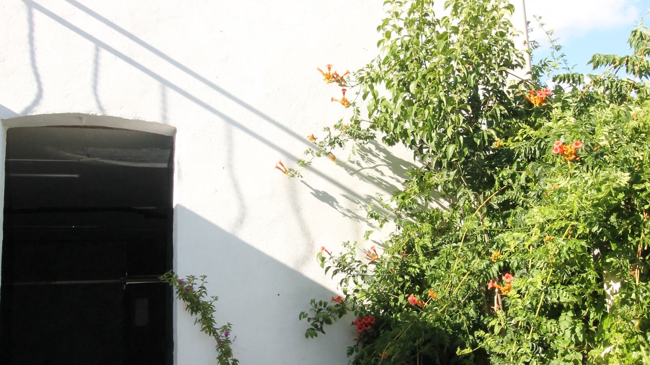 Photo of Outdoor in Le Somail