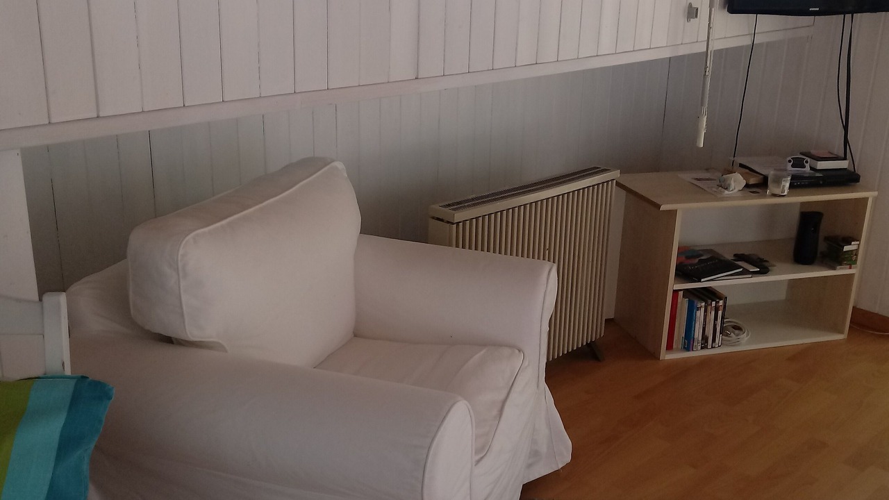 Photo of Livingroom in Gordola