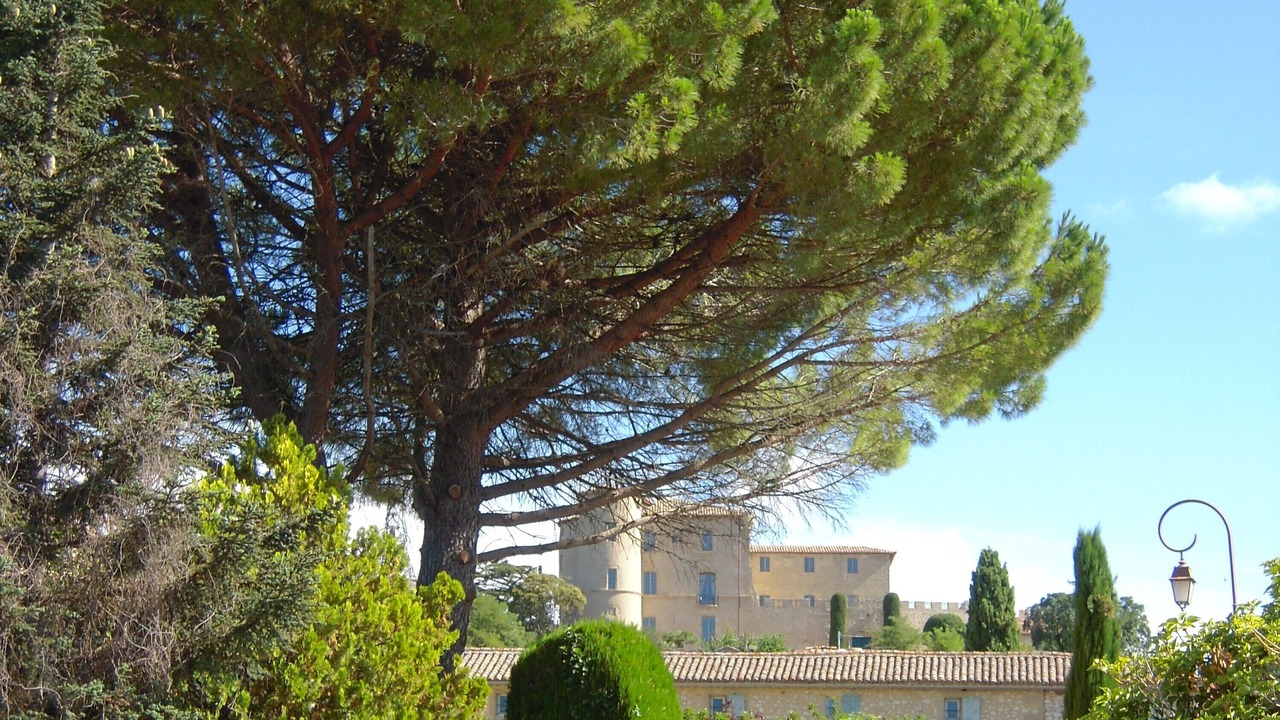 Photo of Outdoor in La Bastide-d'Engras