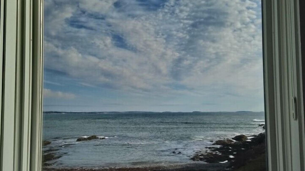 Photo of Others in Pond Cove