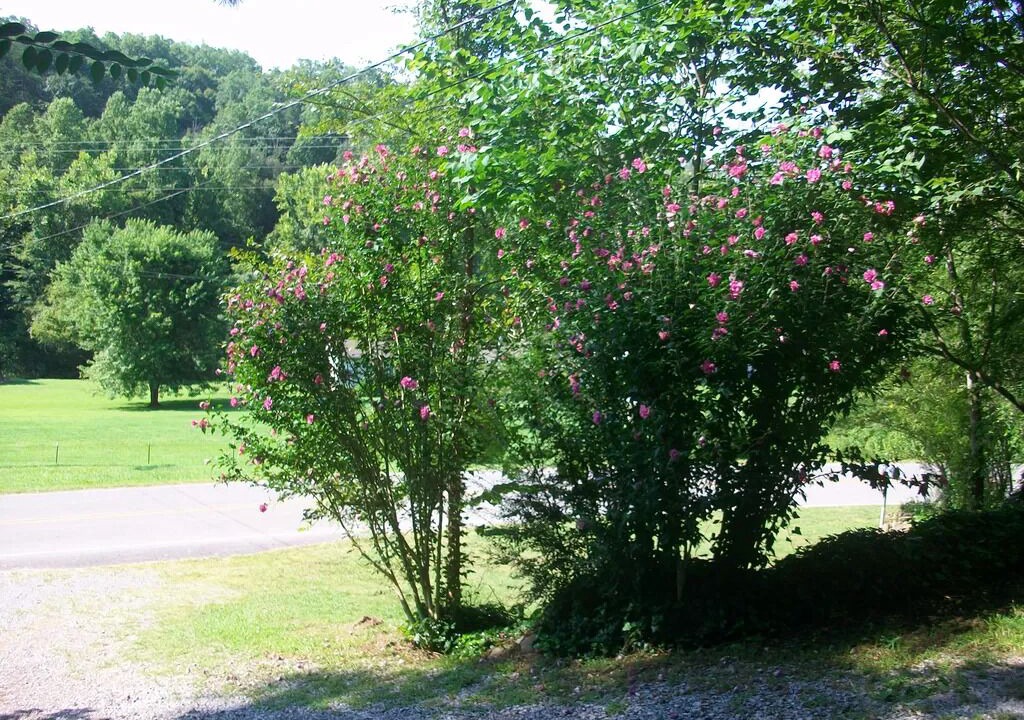 Photo of Outdoor in Madisonville