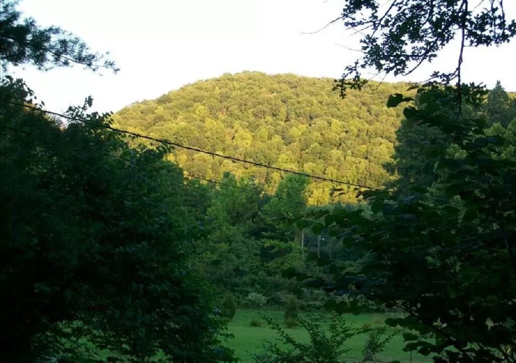 Photo of Outdoor in Madisonville