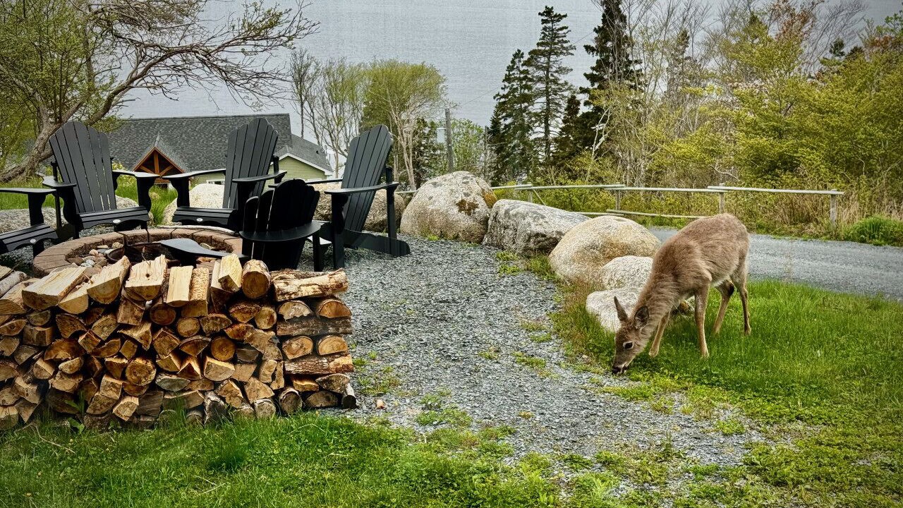 Photo of Outdoor in Lower LaHave