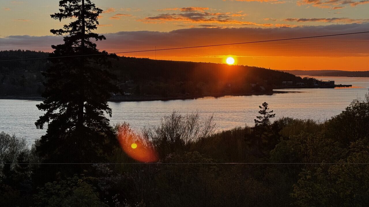 Photo of Others in Lower LaHave