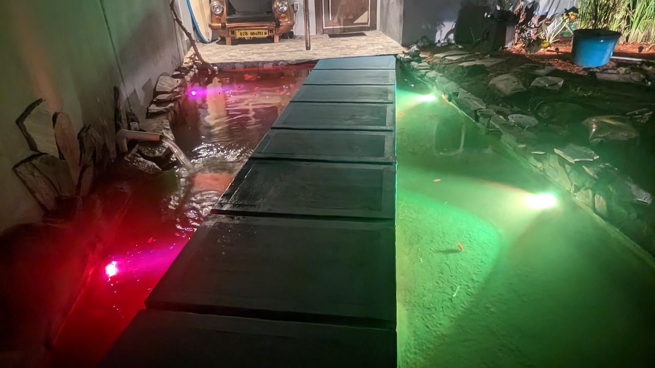 Photo of Outdoor in Orlando