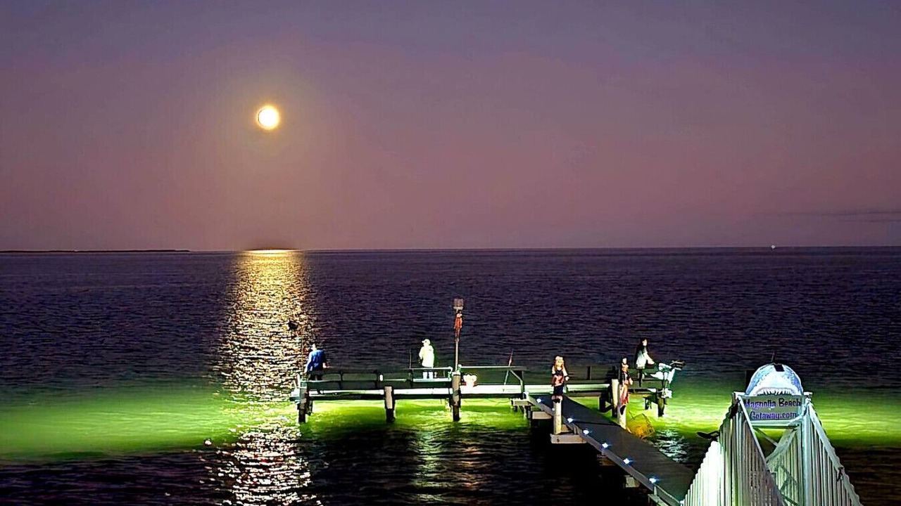 Photo of Others in Port Lavaca