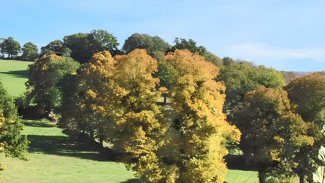 Photo of Others in Chenerailles - Auzances - Bellegarde et Haut Pays Marchois