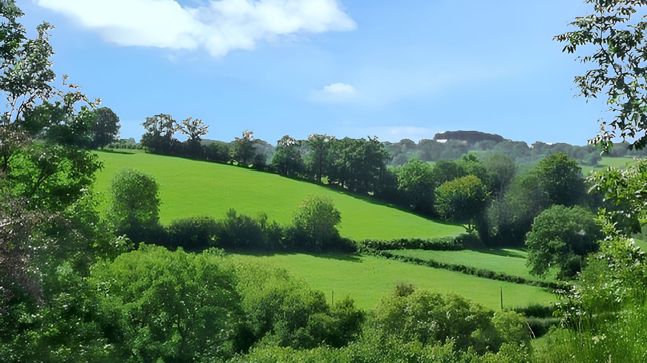 Photo of Others in Chenerailles - Auzances - Bellegarde et Haut Pays Marchois