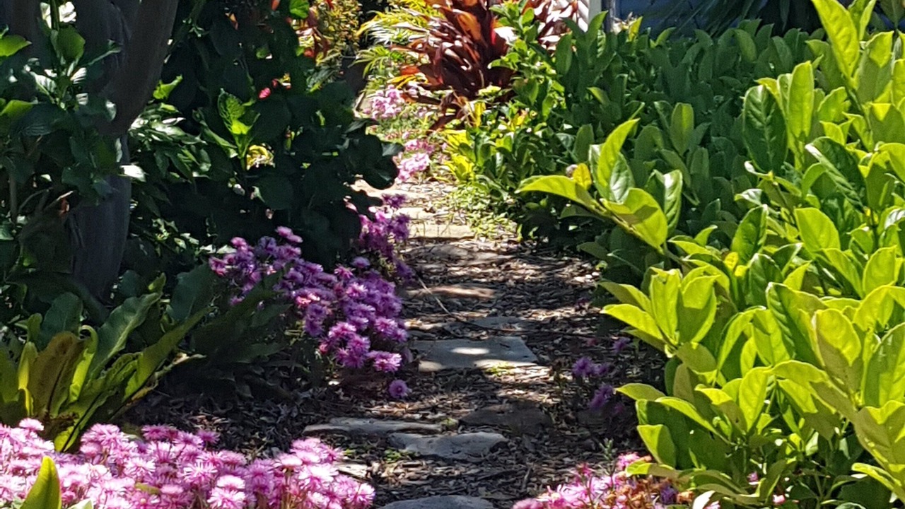 Photo of Outdoor in Huskisson