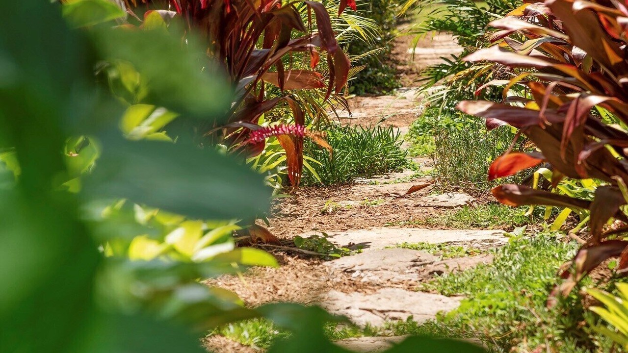 Photo of Outdoor in Huskisson