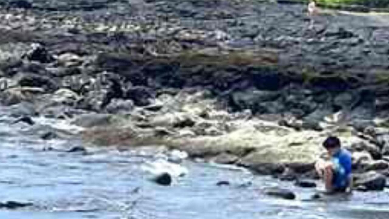 Photo of Others in Discovery Harbour