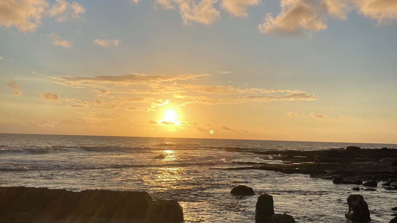 Photo of Others in Discovery Harbour