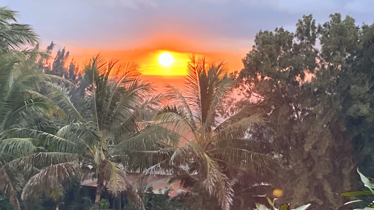 Photo of Others in Discovery Harbour