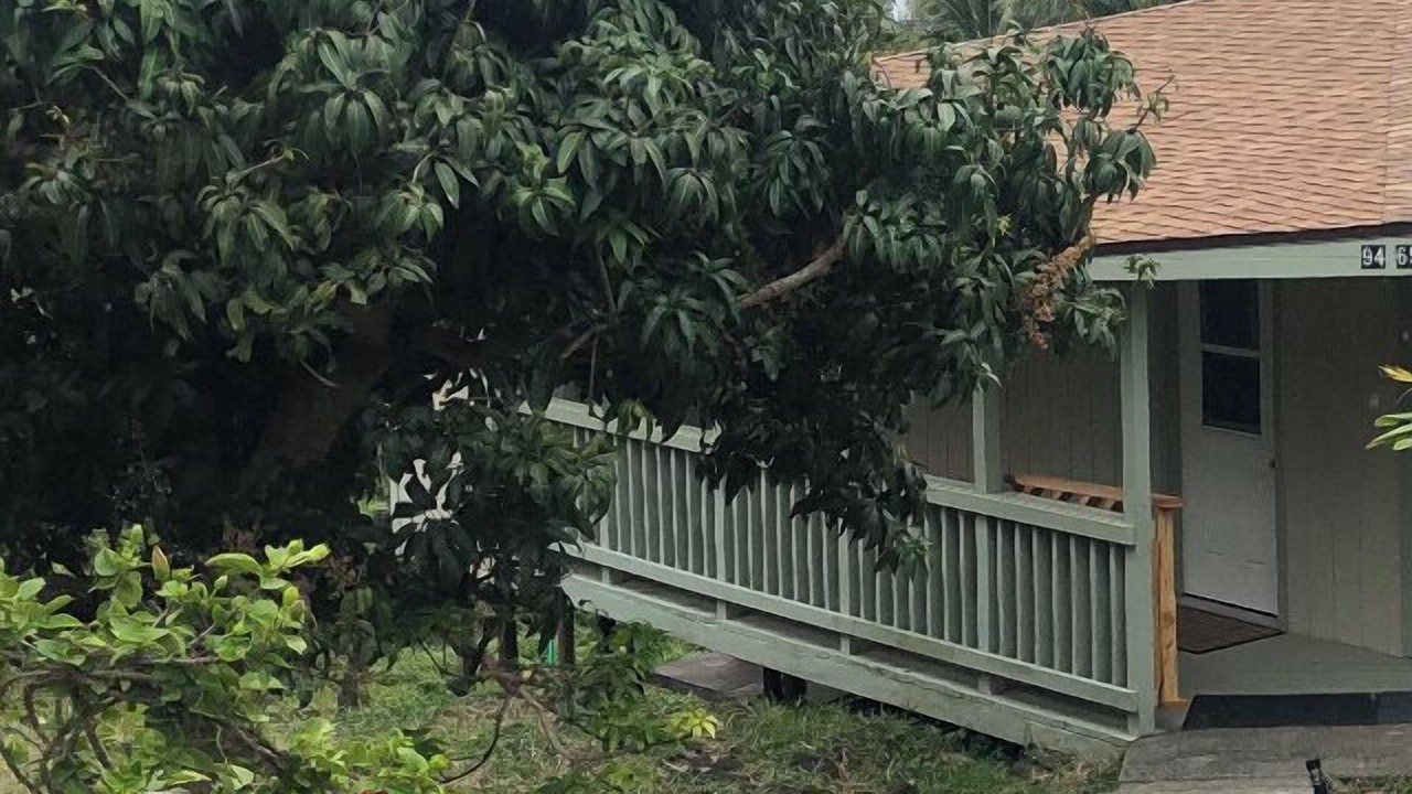 Photo of Outdoor in Discovery Harbour