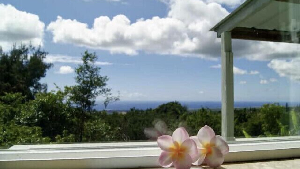 Photo of Others in Discovery Harbour