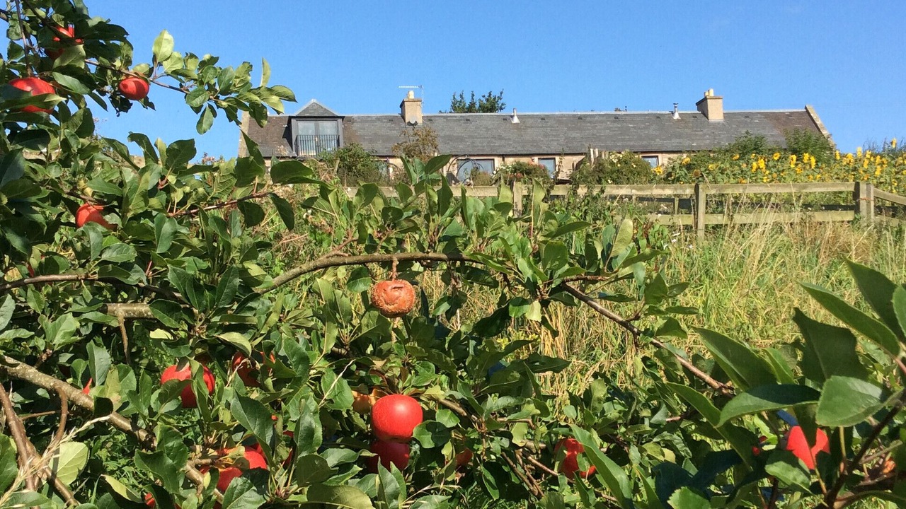 Photo of Outdoor in Kelso