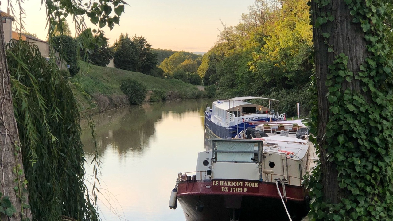 Photo of Others in Trebes