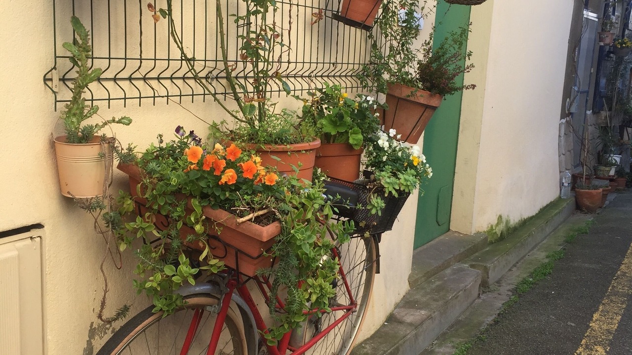 Photo of Outdoor in Trebes