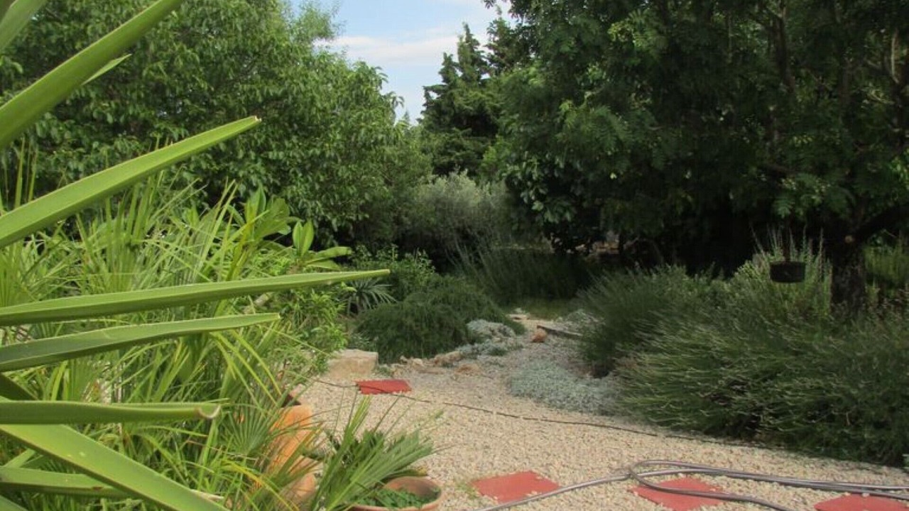 Photo of Outdoor in Viols-le-Fort
