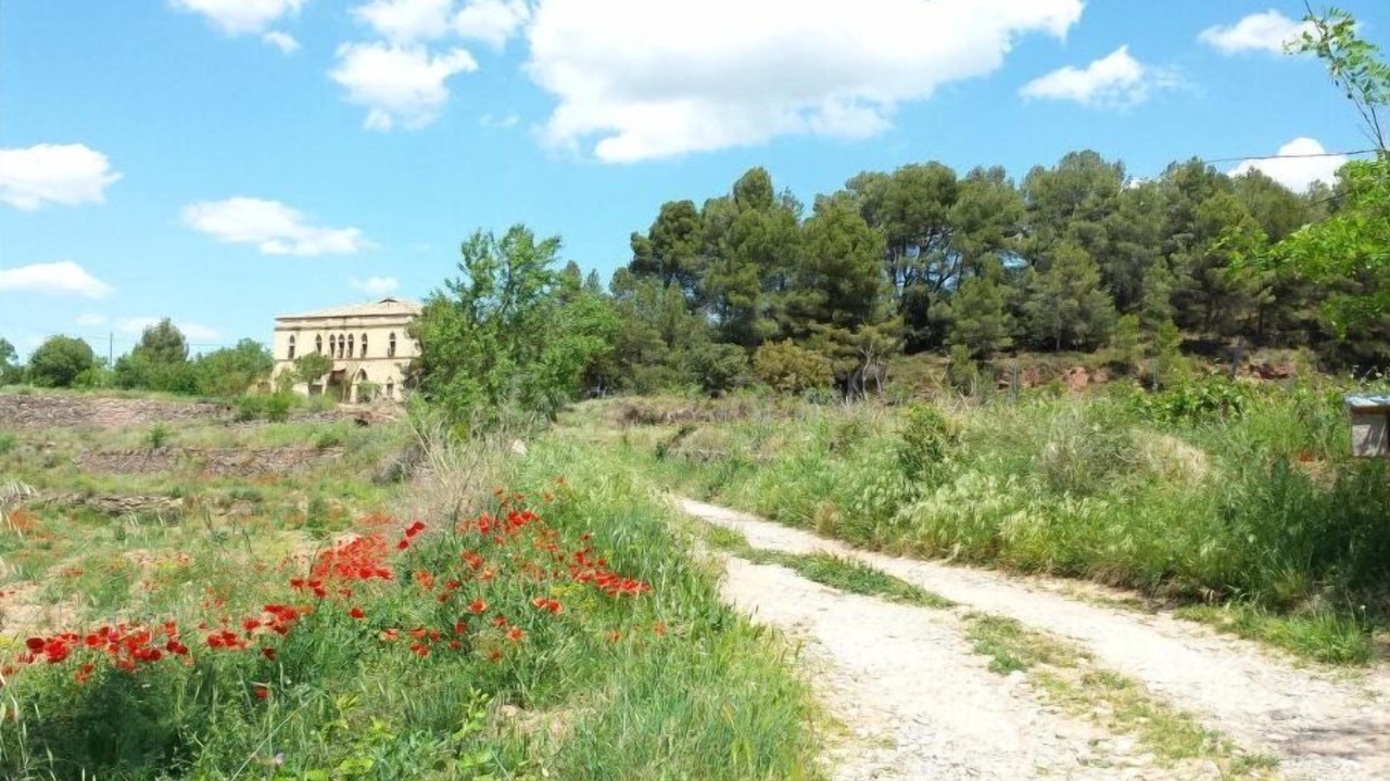 Photo of Outdoor in Artes