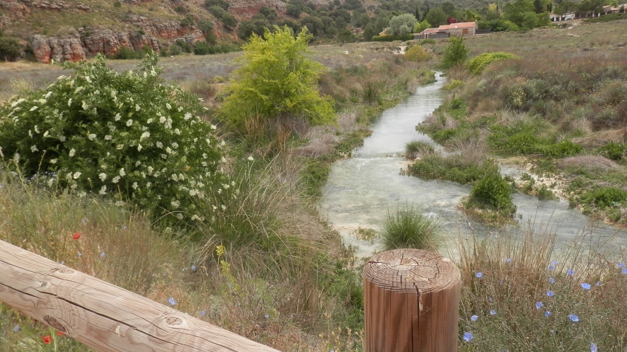 Photo of Outdoor in Ossa de Montiel