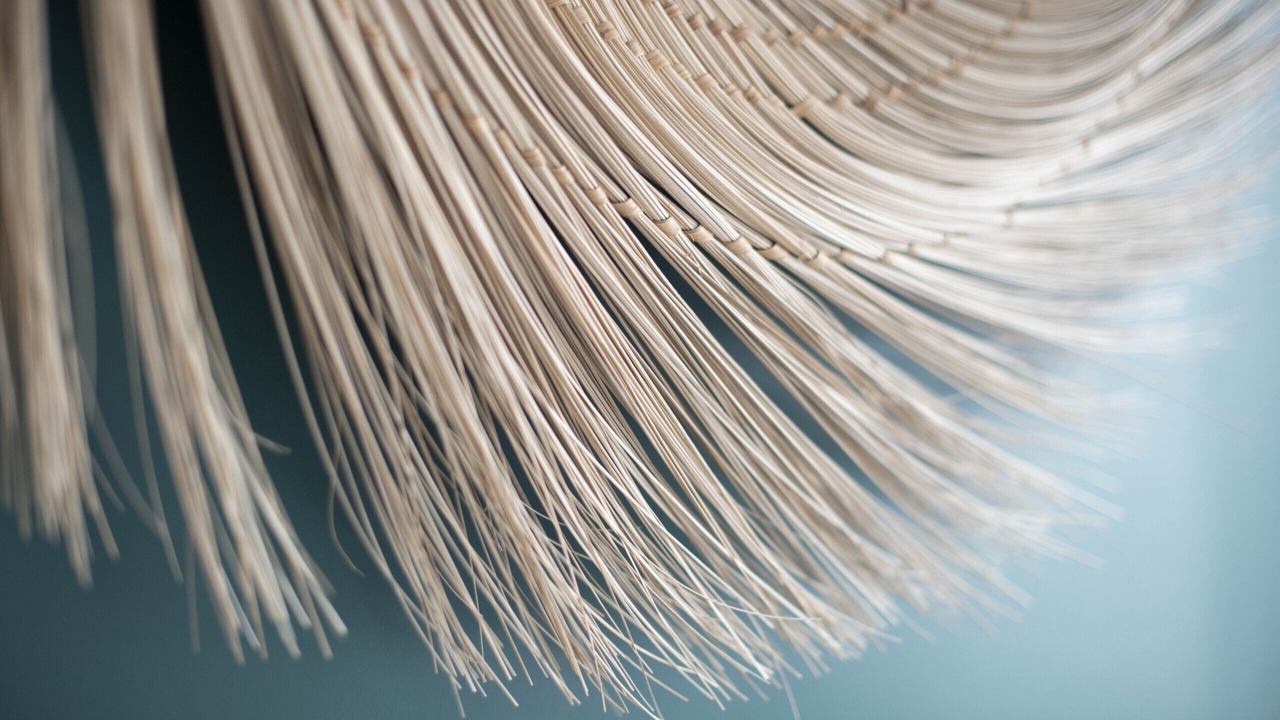 Photo of Others in Bercy