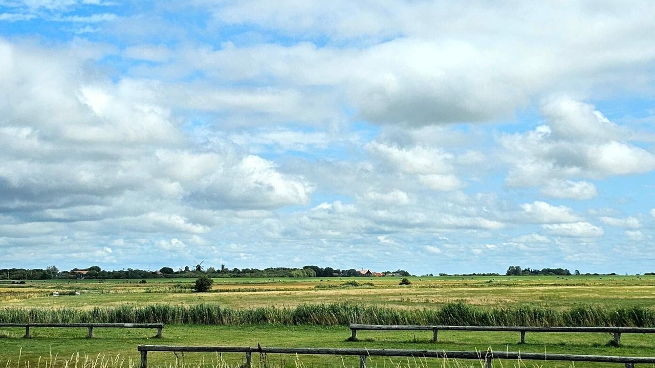 Photo of Others in Hojer
