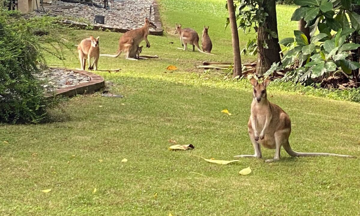Photo of Others in Trinity Beach