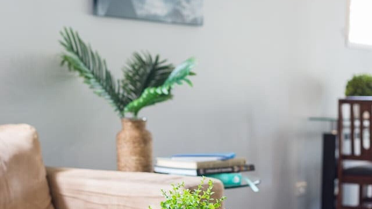 Photo of Livingroom in Trinity Beach