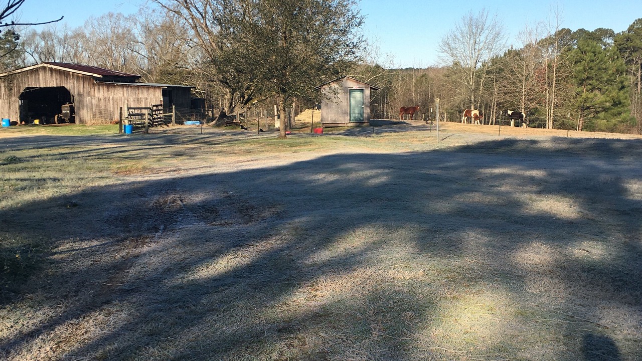 Photo of Others in Claiborne Parish